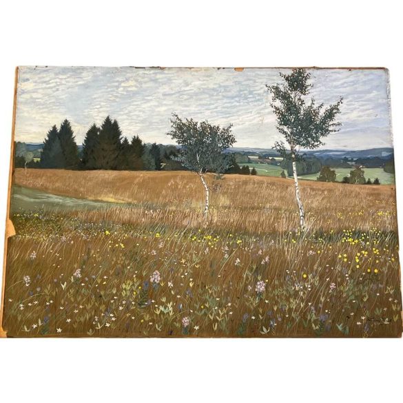 Rudolf Sieck jelzéssel: Felhős nyári domboldal