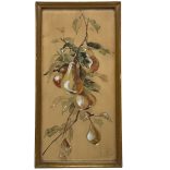 Zieek H. jelzéssel, 1910 körül: Körteág