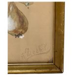 Zieek H. jelzéssel, 1910 körül: Körteág