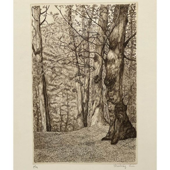 Scultéty Éva (1917-2001): Ősz