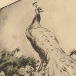 Alfred Renaudin (1866-1944) (E. Naudy): A híúság csábítása
