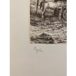 Blahos Rudolf (1917-1986): Pajta