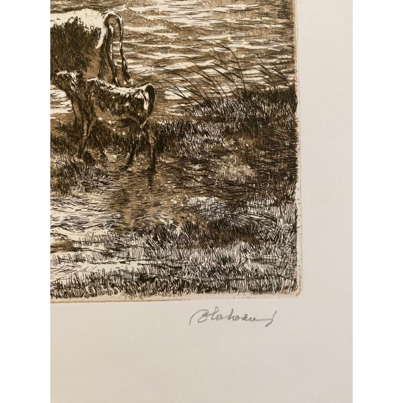 Blahos Rudolf (1917-1986): Vihar közeleg