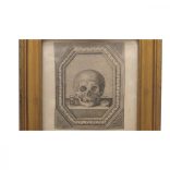 Gyermek koponya csendélettel 