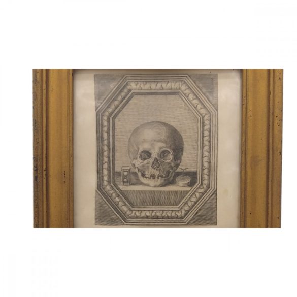 Gyermek koponya csendélettel 