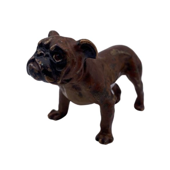 Angol Bulldog, Bécsi Bronz