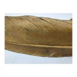 Bergman Bagoly Tolltartó 