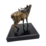 Bronz szarvas fekete alapon