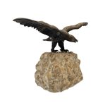 Bronz sas a sziklán