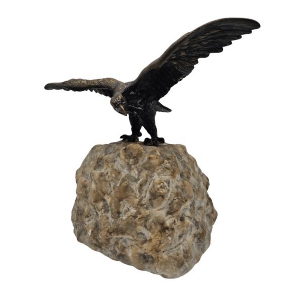 Bronz sas a sziklán